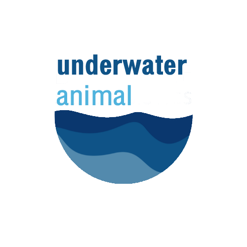 logo-สัตว์น้ำ
